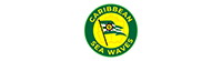 CARIBBEAN SEA WAVES LLC